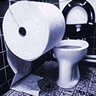 Avatar image humour gros rouleau papier toilette